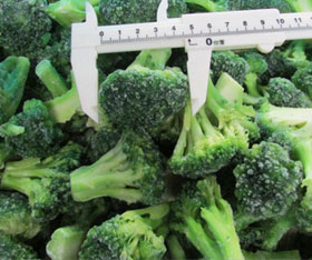 frozen vegetables IQF broccoli florets 30-50 mm