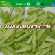 hot selling frozen IQF broccoli stem strips with market price