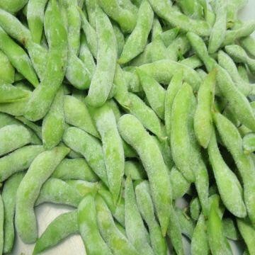 Frozen Green Edamame  Shelled With Good High Quality