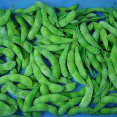 High Quality FDA approved IQF frozen organic edamame / frozen soy bean kernels hot sale